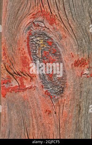 USA, Washington State, Palouse. Close-up of knot hole in abandoned barn. Stock Photo