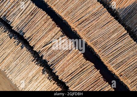 USA, Washington State, Olympia. Logs in piles at Port of Olympia. Stock Photo