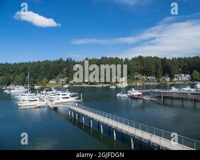 Usa, Washington State, Gig Harbor, boats docked at marina, and waterfront homes Stock Photo