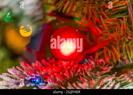 Red blue green yellow Christmas Lights Decorations Tree macro, Washington State. Stock Photo