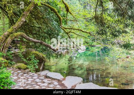 Moulton Falls Regional Park, Yacolt, Washington, USA. Reflections in the East Fork Lews River. Stock Photo