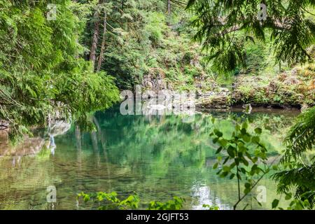 Moulton Falls Regional Park, Yacolt, Washington, USA. Reflections in the East Fork Lews River. Stock Photo