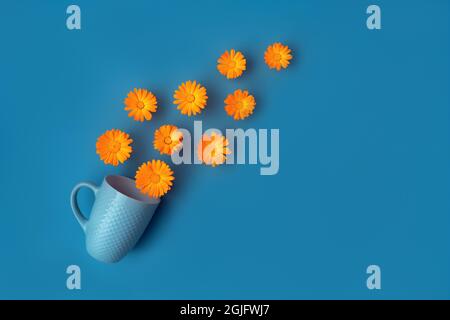 Beautiful vibrant orange marigold flowers poured out of blue cup on blue background. Herbal tea concept. Colorful abstract background. Creative trendy flat lay with space for text. Stock Photo