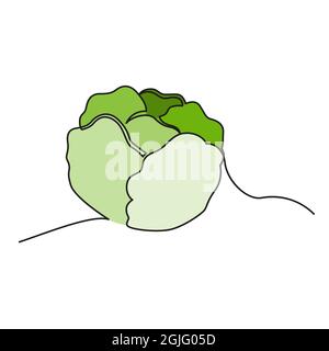 One continuous line drawing vegetables cabbage, isolated on white background. Healthy eating concept. Stock Vector