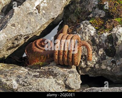 rusty coil Spring & metalwork abandoned on dry stone wall with moss & lichen in Cumbria, England,UK Stock Photo