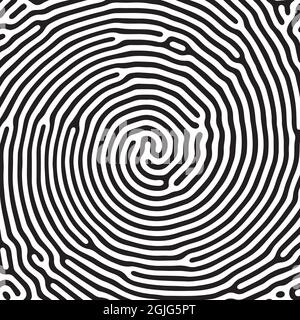 Vector black and white organic rounded lines pattern. Biology turing background Stock Vector