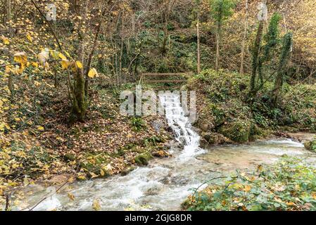 Water from a stream falling down from some rocks in a forest with fallen leaves in autumn Stock Photo