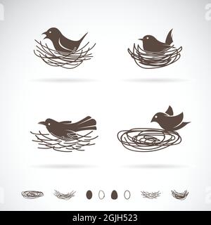 Vector of bird and Nests on white background. Easy editable layered vector illustration. Wild Animals. Stock Vector