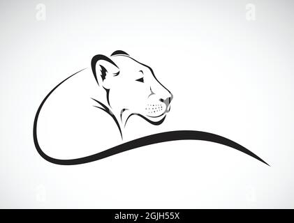 Vector of a lion female design on white background, Wild Animals. Easy editable layered vector illustration. Stock Vector