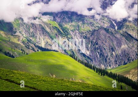 Landscape with grass and clouds. Serene Himalayan mountains view of meadows, alpine trees, Kashmir Great Lakes Trek, Kashmir, India. Stock Photo