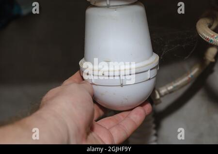 Hand holds white plastic sink trap. Man unscrews drain plug of t Stock Photo