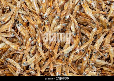 Dried anchovies fish on white background, macro image, fill frame with brown dried anchovies. Stock Photo