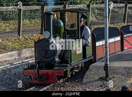 Moors Valley railway narrow gauge miniature railway 2018 Locomotive Jason Stock Photo