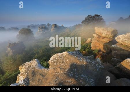 Dawn mist surrounds the rock formations at Brimahm Rocks in Nidderdale, North Yorkshire, UK Stock Photo