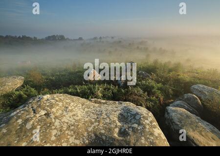 Dawn mist surrounds the rock formations at Brimahm Rocks in Nidderdale, North Yorkshire, UK Stock Photo