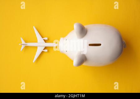 Holiday flight fare saving concept. Piggy bank with a toy plane. Vacation budget planning Stock Photo