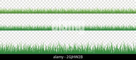 green grass meadow border vector pattern isoladet Stock Vector