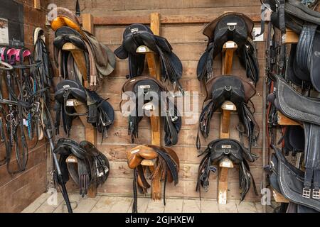 Storage room with harness: saddles and bridles for horses hanging on the wall. Lyon, France, Europe Stock Photo