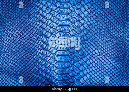 Blue snake skin pattern texture background Stock Photo