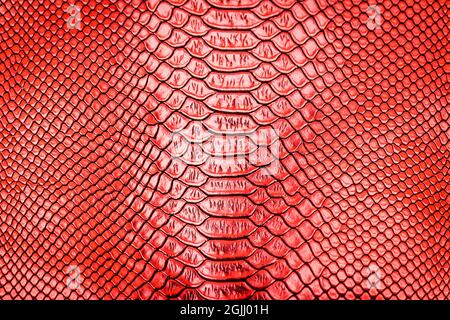 Red snake skin pattern texture background Stock Photo
