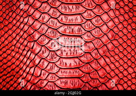 Red snake skin pattern texture background Stock Photo