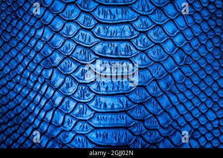 Blue snake skin pattern texture background Stock Photo