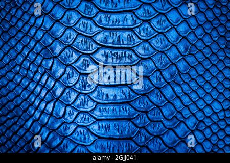 Blue snake skin pattern texture background Stock Photo