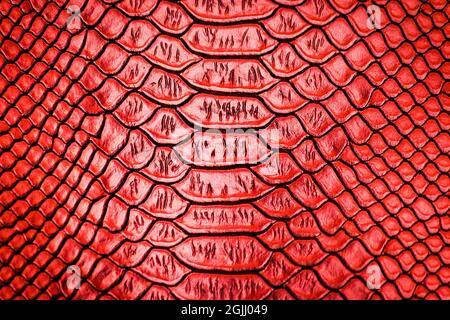 Red snake skin pattern texture background Stock Photo
