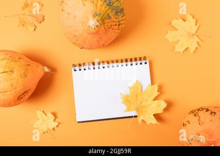 Notepad with blank white sheet among pumpkins and autumn leaves on orange background, flat lay. Stock Photo