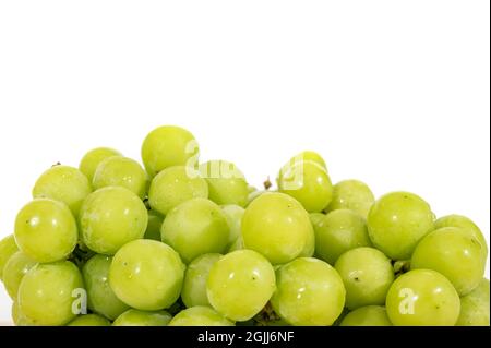 Shine Muscat Grape isolated on white background. Stock Photo