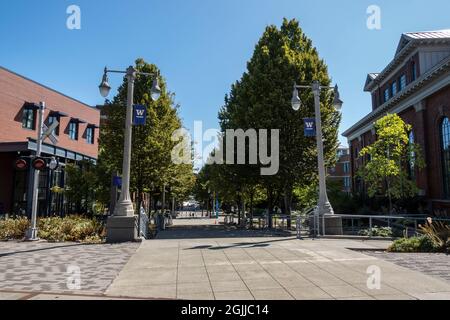 Tacoma, WA USA - circa August 2021: View of the large city campus at the University of Washington Tacoma on a sunny, cloudless day Stock Photo
