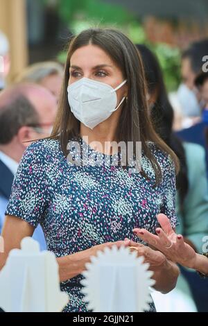 Madrid, Madrid, Spain. 10th Sep, 2021. Queen Letizia of Spain attends Opening of Madrid Book Fair on September 10, 2021 in Madrid, Spain (Credit Image: © Jack Abuin/ZUMA Press Wire) Stock Photo