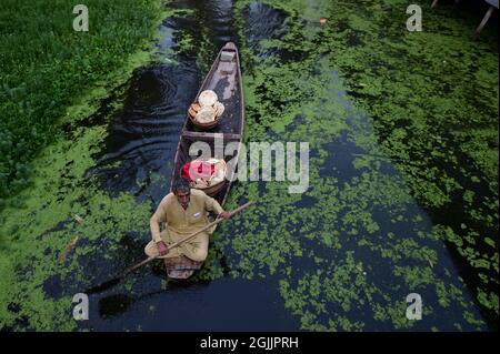 Srinagar, India. 10th Sep, 2021. A Kashmiri vendor selling bread rows his boat at the floating vegetable market at Dal lake which is a unique site in Srinagar, Kashmir on Thursday, September 9, 2021. This colorful floating gardens in the natural wetlands of Srinagar are the prime source of vegetable cultivation. The fresh vegetables are then sold on the floating shikara boats on the lake. Srinagar is in the Kashmir area administered by India. Photo by Abhishek/UPI Credit: UPI/Alamy Live News Stock Photo