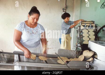 Mexico Mexican Quintana Roo Chetumal,Hispanic Mayan women females making tortillas selling shop Stock Photo