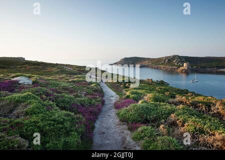 Shipman Head Down on Bryher. Isles of Scilly, Cornwall, UK.  View across New Grimsby Harbour towards Cromwell's Castle on Tresco. Stock Photo