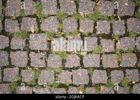 Old stone pavement with grass pattern texture Stock Photo