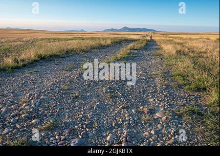 Country road near Milk River, Alberta with the Sweetgrass Hills (Sweet Grass Hills) in the background Stock Photo