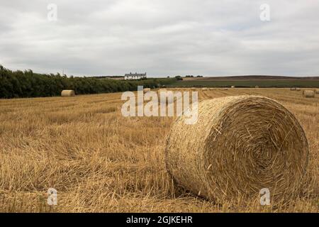 Cubert, Newquay, Cornwall, England,  August 31st 2021, A view of harvested hay bales in Cornish farm fields Stock Photo