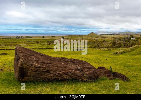 Fallen moai statue in the Rano Raraku Quarry at Easter Island, Chile, Polynesia Stock Photo