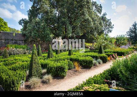 Gardens of the Bishop's Palace, Wells, Somerset Stock Photo