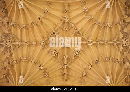 Ornate carved stone fan-vaulted ceiling of the Divinity School, Bodleian library, University of Oxford, Oxford, England, UK.  Construction began in 1427 and lasted until 1488, at which point The Divinity School became The University of OxfordÕs first purpose-built lecture hall. Stock Photo