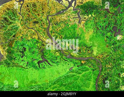 Nature pattern on satellite photo, delta of tropical river. Aerial top view of green Earth surface as abstract texture background. Landscape taken fro Stock Photo