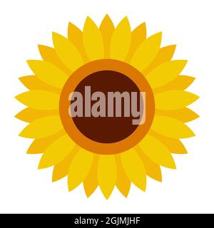 Cute sunflower flower icon in a flat style on a white background Stock Vector