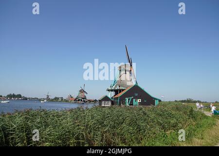 Lots of reeds along the river De Zaan with windmills The oil mill De Zoeker and the wind paint mill De Kat. River De Zaan at the Zaanse Schans, Stock Photo