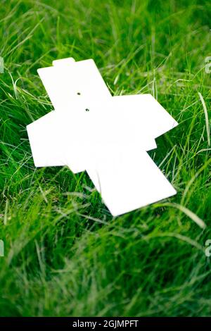 mock-up blank white unfolded box for clothing accessories on green grass of lawn in summer, with copy space Stock Photo