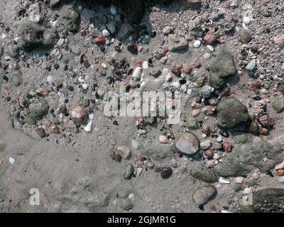 colorful amazing stones on beach side. Egaila beachside Kuwait. Stock Photo