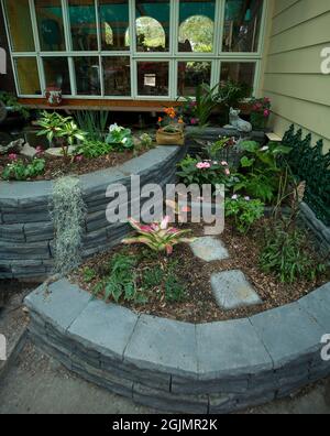 Newly constructed courtyard garden with curved brick walls of differing heights and young plants growing in dark soil beside windows of patio Stock Photo