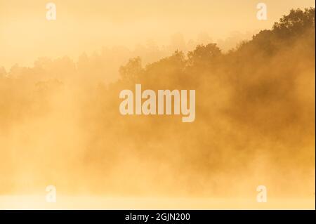 Misty lake during sunrise Stock Photo