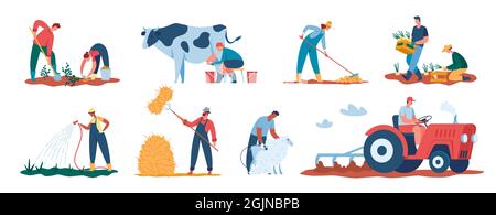 Agricultural workers harvesting plants, farmers working in field. Farmer watering crops, shearing sheep, tilling soil with tractor vector set. Character milking cow, collecting potatoes Stock Vector