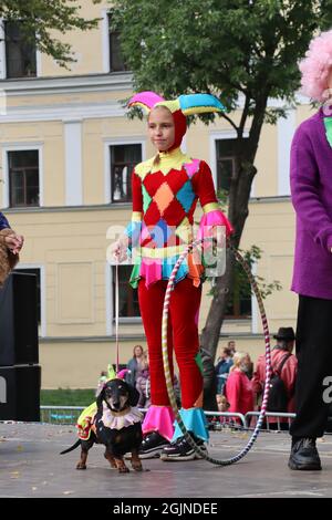 X sausage dog-show in St Petersburg, Russia Stock Photo